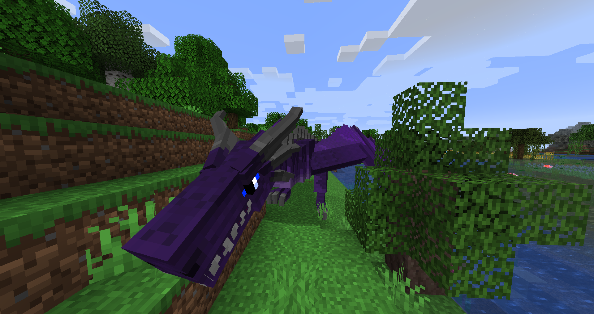 OCdragon