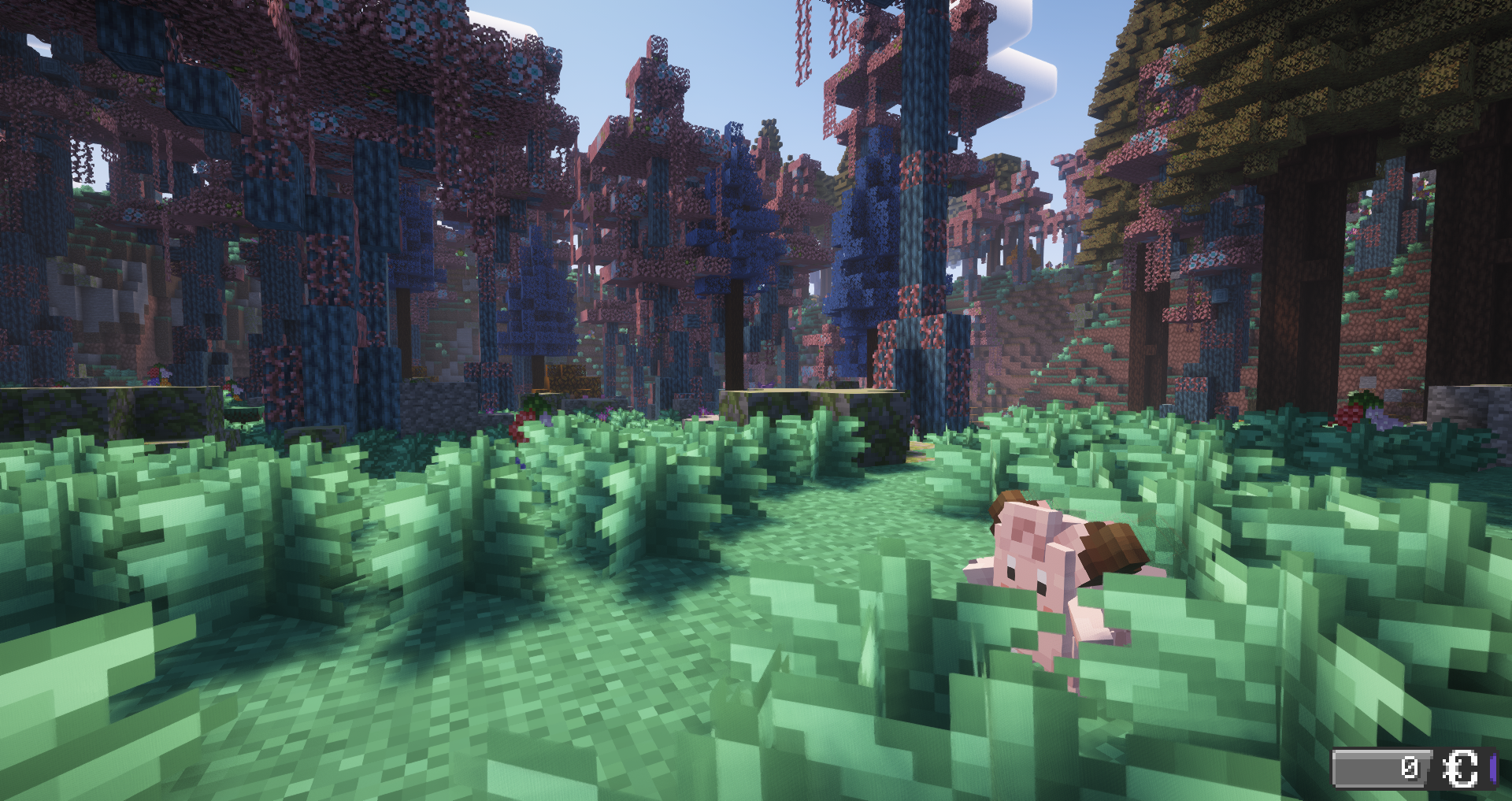 隐藏在 tall grass 中(tall grass 为 Minecraft 中的方块名称,...