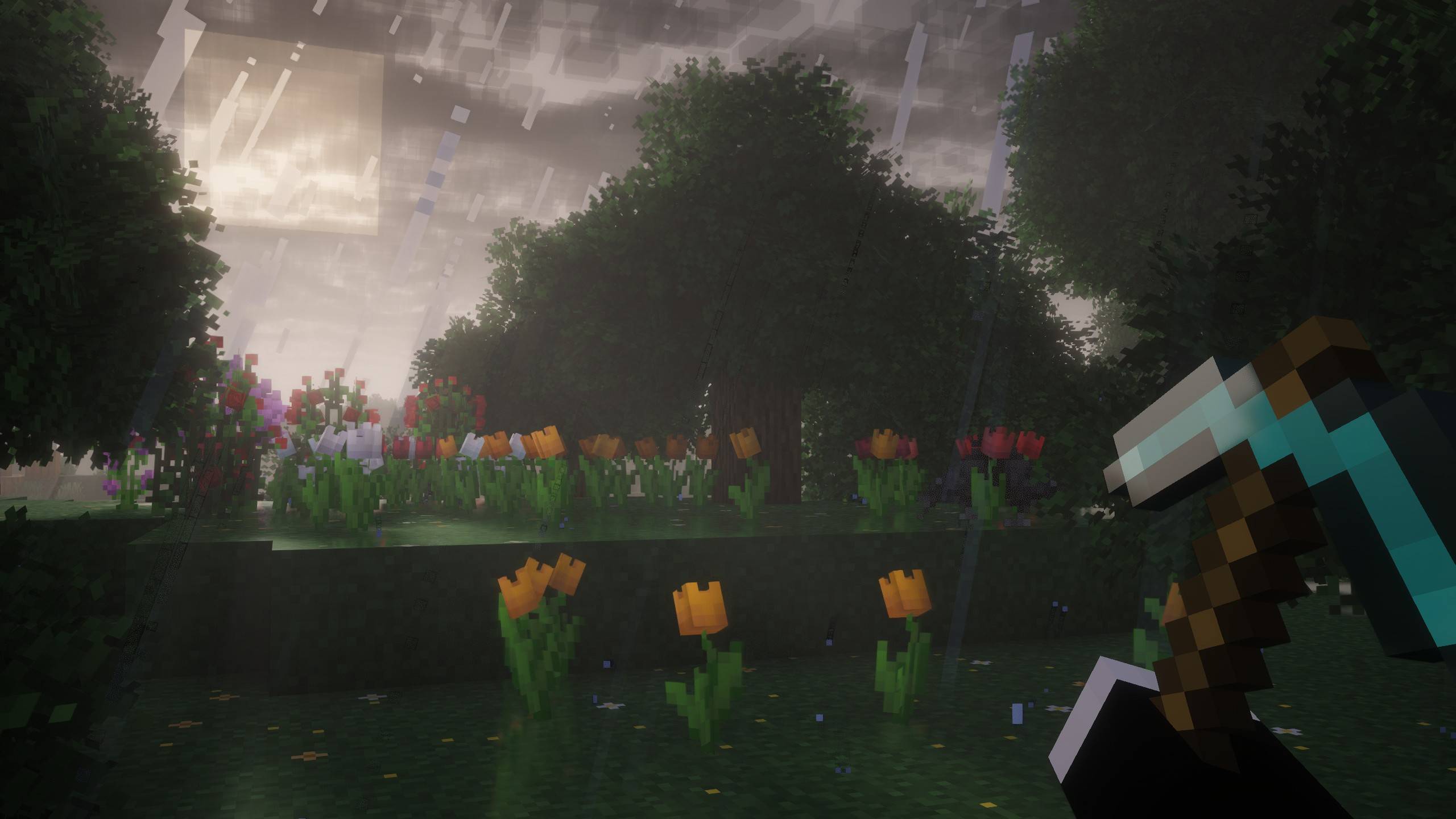 Rainy Forest 2.jpg
