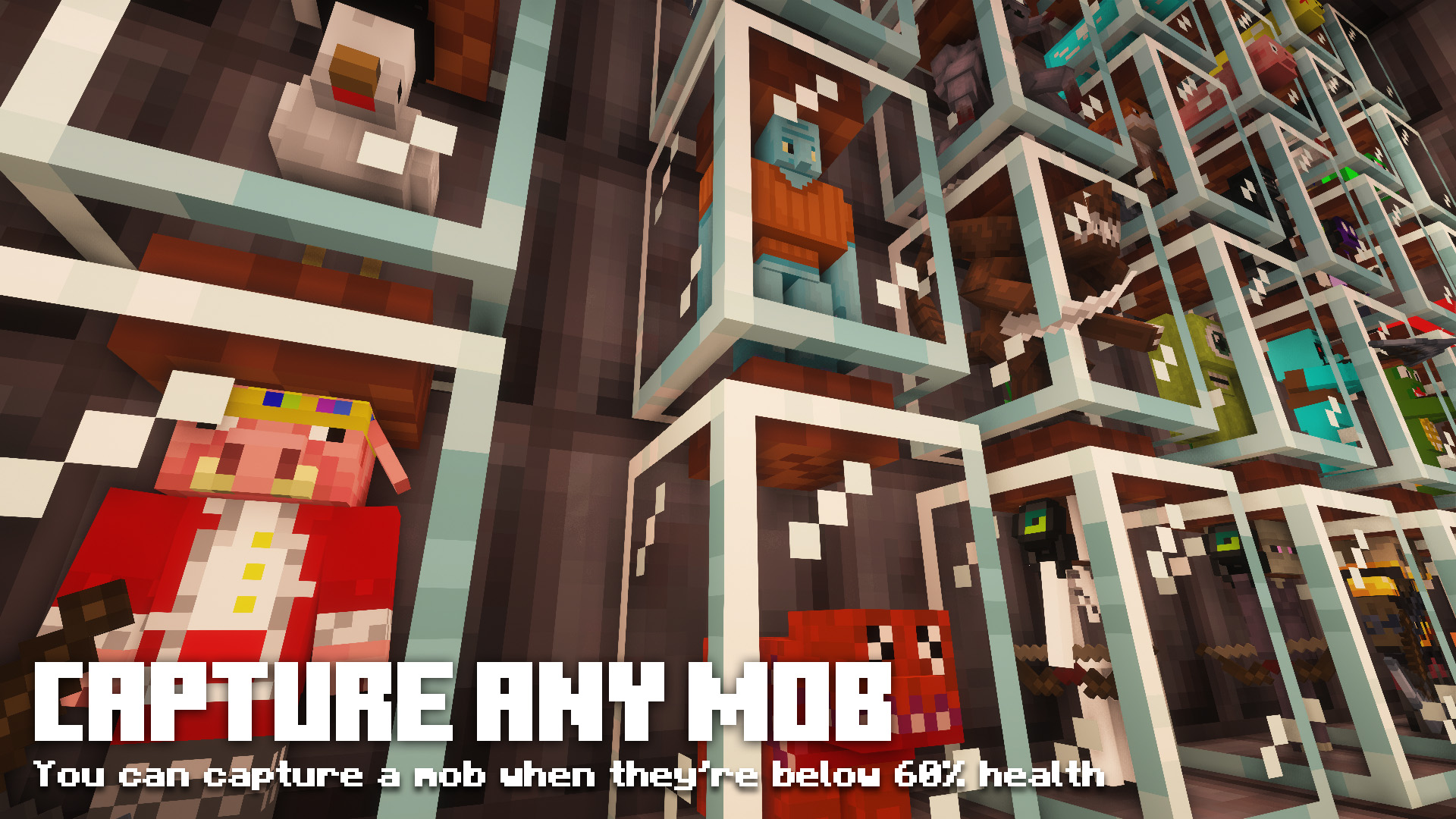 捕捉 mobs