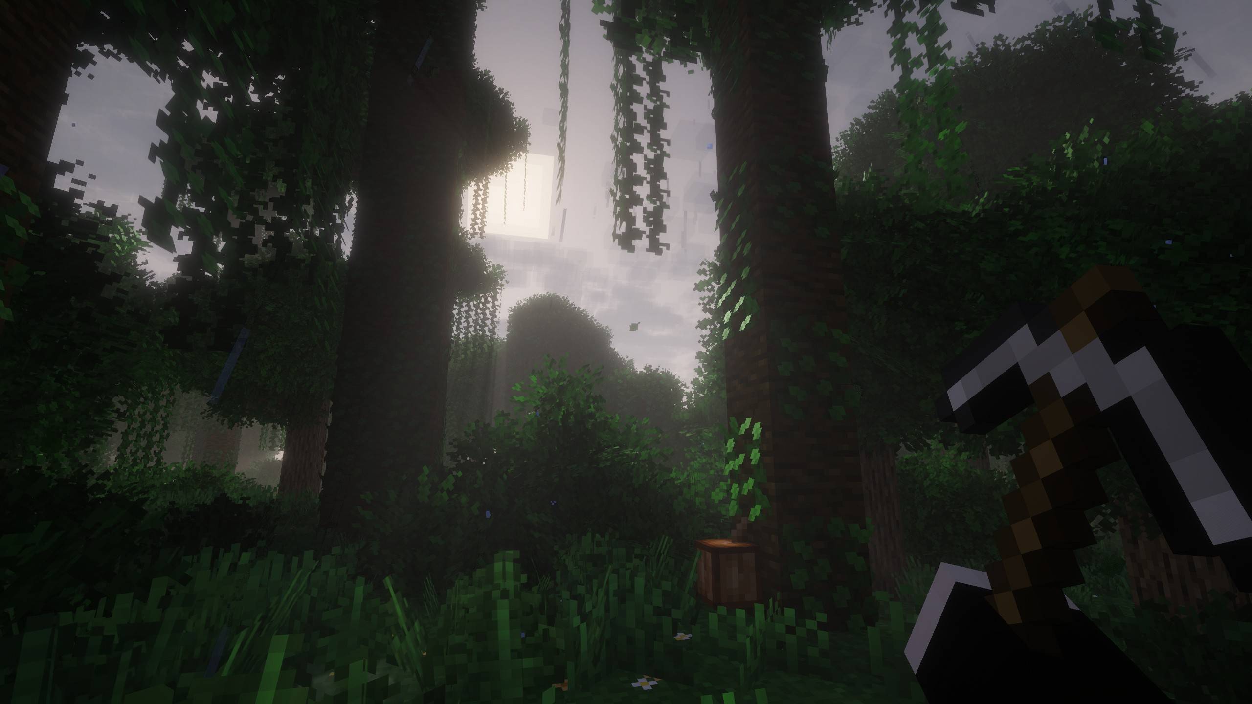 Jungle 1.jpg