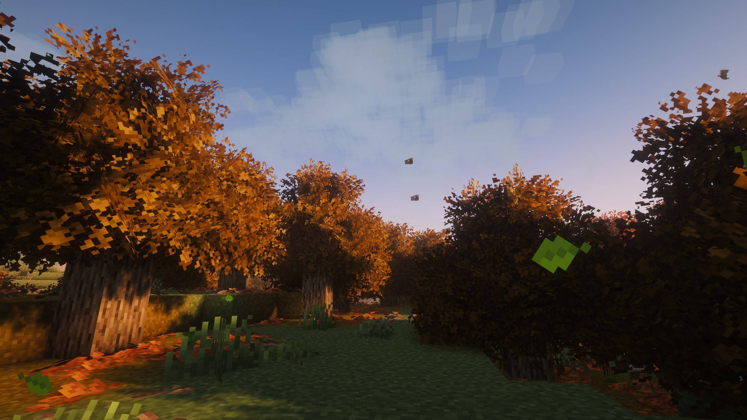 Autumn.jpg